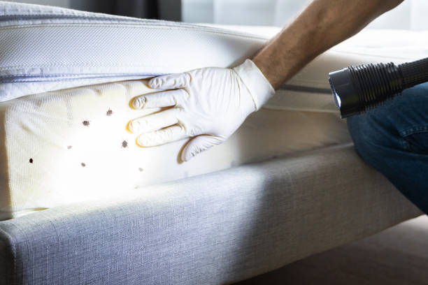 Best Affordable Pest Control Services  in Moosic, PA