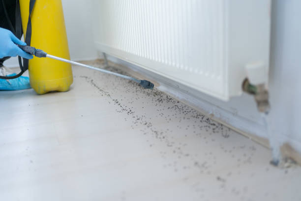 Best Best Pest Control Companies  in Moosic, PA