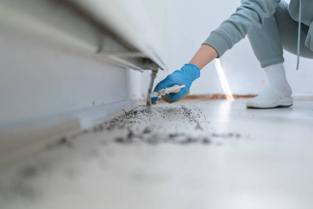 Best Residential Pest Control  in Moosic, PA